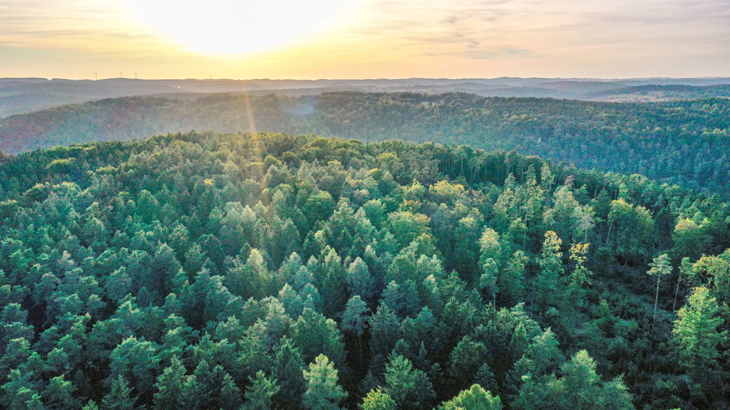 Forest areas in Bavaria